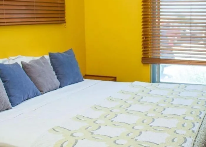 Tucanes #4 2 Bed 1.5 Bath With Roof Terrace Coco
