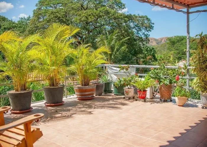 Tucanes #4 2 Bed 1.5 Bath With Roof Terrace Coco
